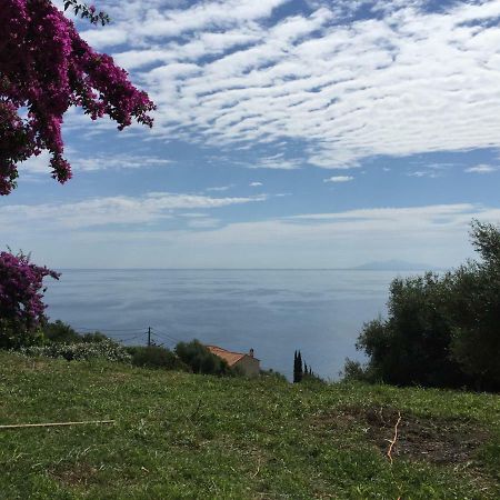 80 Route De San Martino Apartment Bastia  Luaran gambar