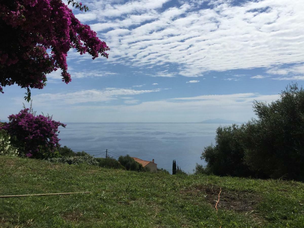 80 Route De San Martino Apartment Bastia  Luaran gambar